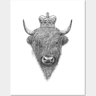 The King Highland Bull Posters and Art